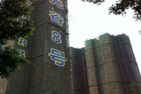 Wuhan Optics Valley 8